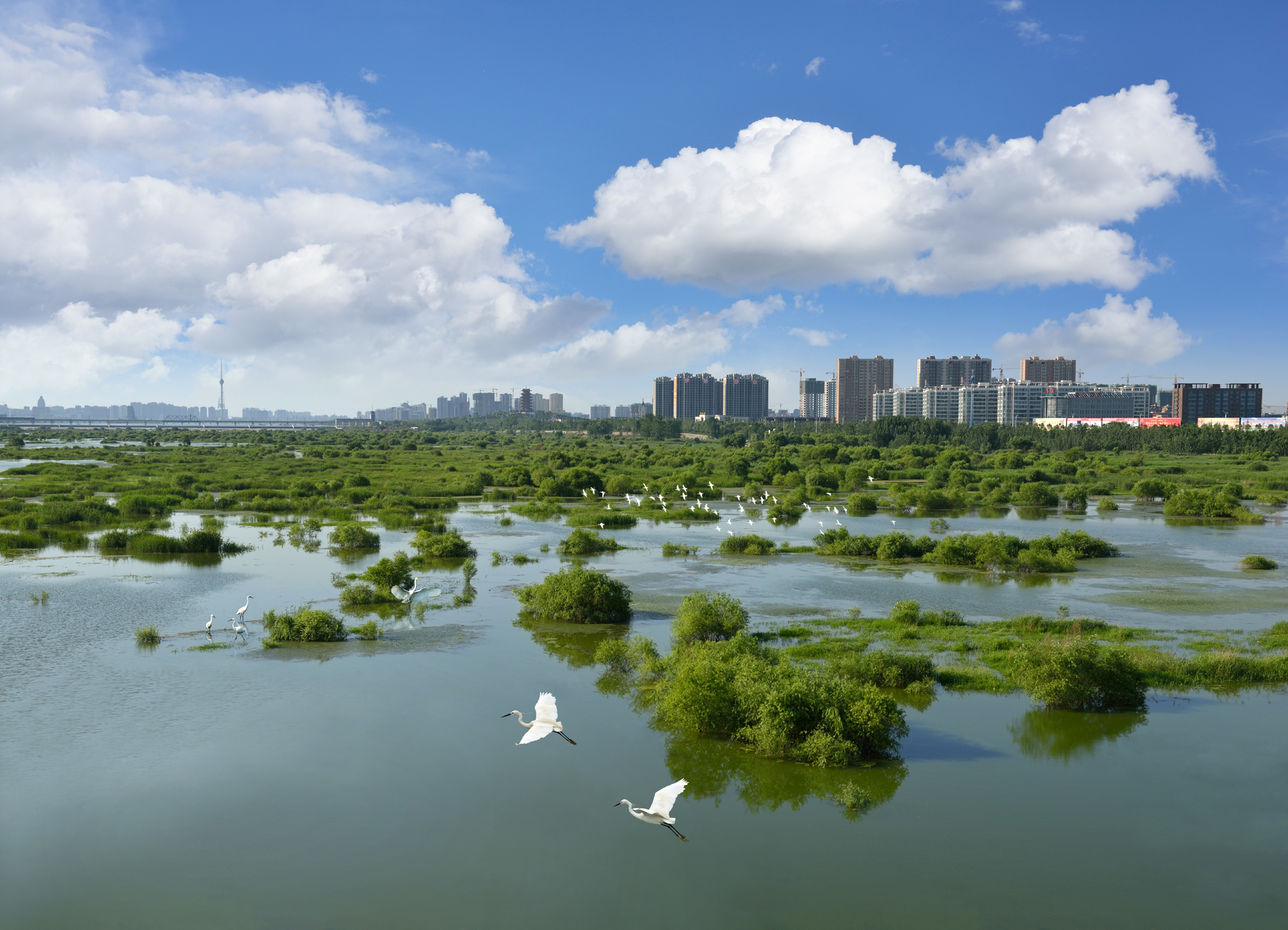 ��̬������